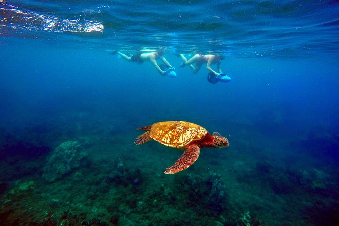 Sea Scooter Snorkeling Tour - Polo Beach - Additional Information and Cancellation Policy