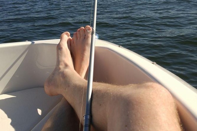 Seal Watch Boat Tours - Pictou NS - Additional Information