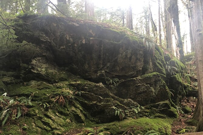 Seattle Waterfall Experience - Additional Information About the Tour