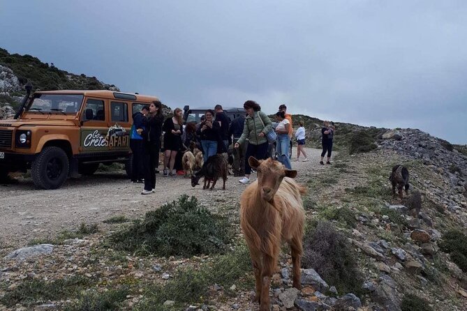 Secrets of the Southern Crete Safari Tour - Exploring the Traditional Village of Viannos