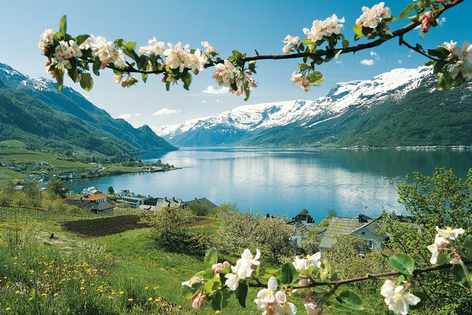 Self-Guided 22-Hour Round Trip From Oslo To Sognefjord With Flåm Railway - Traveler Reviews