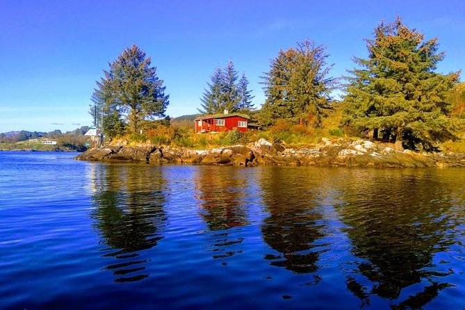 Self-Guided Flåm Day Tour - Incl Sognefjord Express Cruise and Flam Railway - Traveler Photos and Reviews