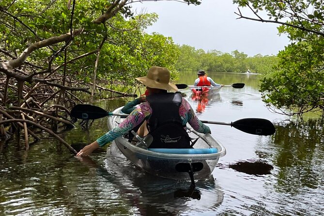 Self-Guided Island Tour - CLEAR or Standard Kayak or Board - Bonita Springs - Meeting and Pickup