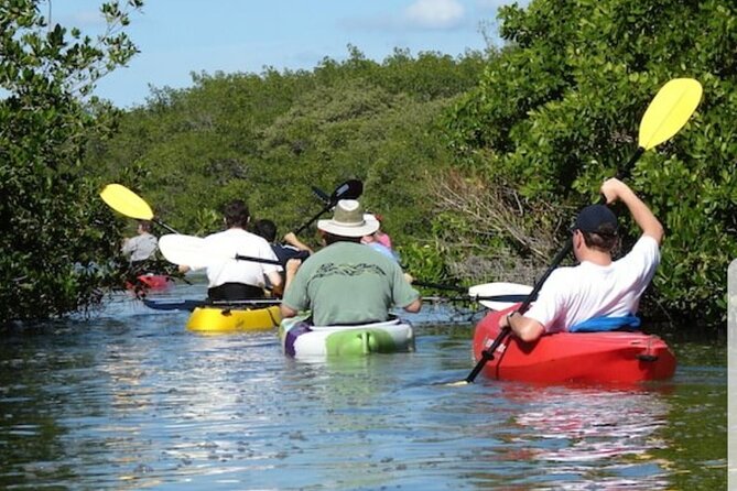Self-Guided Kayaking Manatee and Dolphin Tour - Meeting and End Point