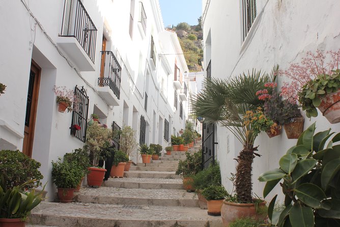 Semi-Private Tour to Frigiliana and the Lost Village With Lunch Included - Spanish Civil War History