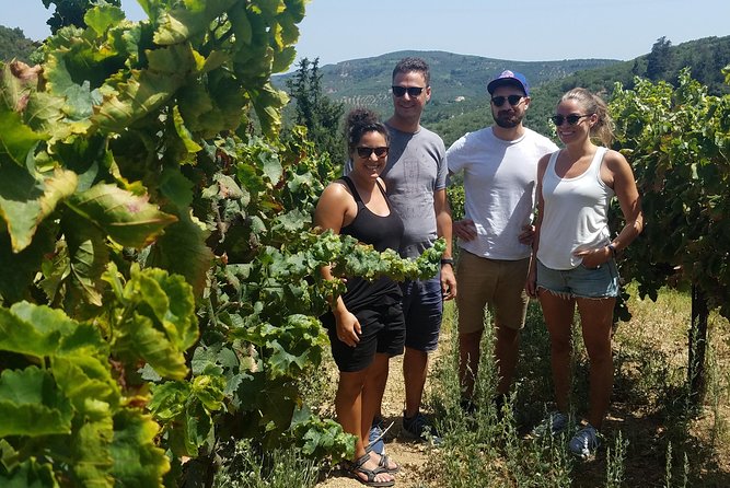 Semi-Private Wine Discovery Tour in Chania - Meeting and Pickup Information