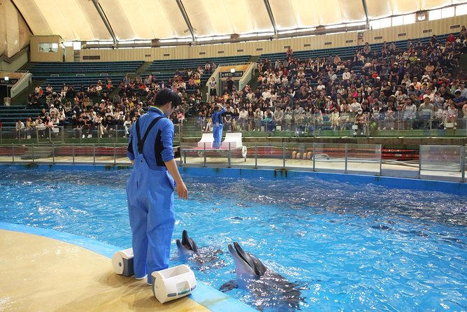 Seoulland Theme Park & Seoul Grand Park Zoo Discount Ticket(서울랜드동물원 패키지) - Discount Ticket Packages and Pricing Options
