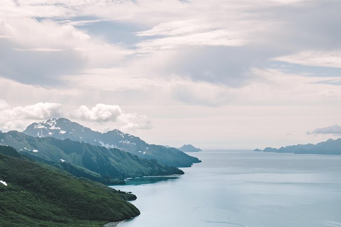Seward to Kenai Fjords and Chugach Forest: 1-Hour Flight Tour - Explore Kenai Fjords National Park and Chugach National Forest