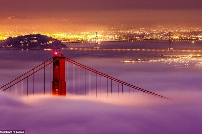 SFO Pick-Up With City Sightseeing Tour - Additional Services and Amenities
