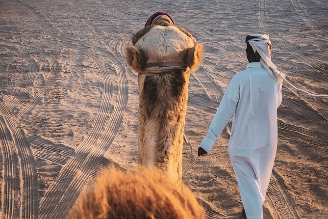 Shared Desert Safari Camel Ride Sandboarding and Inland Sea - Desert Safari Activities