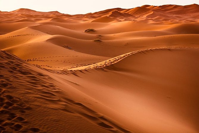 Shared Group Desert Tour From Marrakech for 3 Days - Common Questions