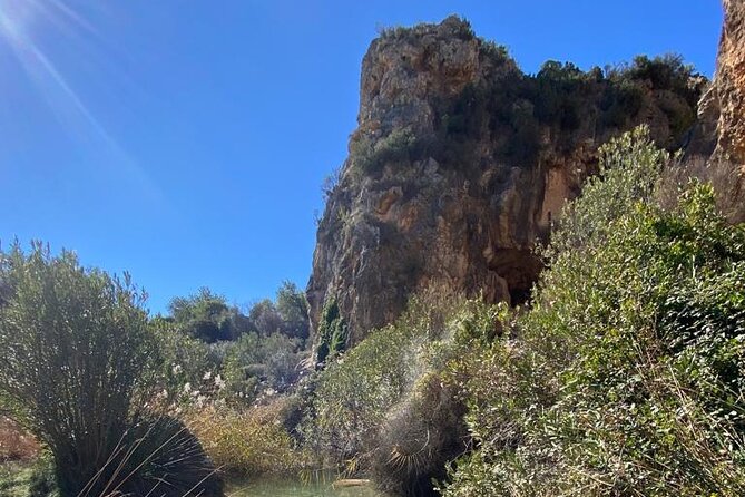 Shared Hike Tour in Valencia - Common Questions
