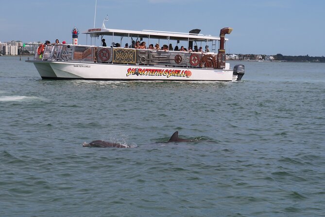 Shark Teeth and Shells, Dolphin and Shelling Tour Boat Clearwater Beach - Spotting Dolphins and Wildlife