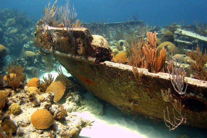 Shipwreck Snorkel in Bermuda - Good To Know