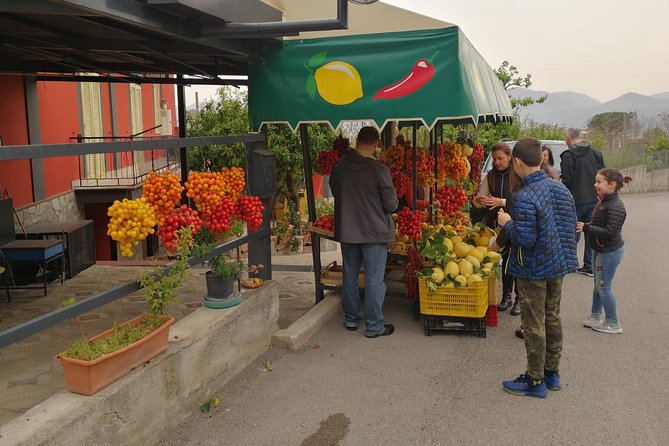 Shore Excursion With Wine & Food Tasting at Cantina Del Vesuvio Winery - Pricing for the Shore Excursion