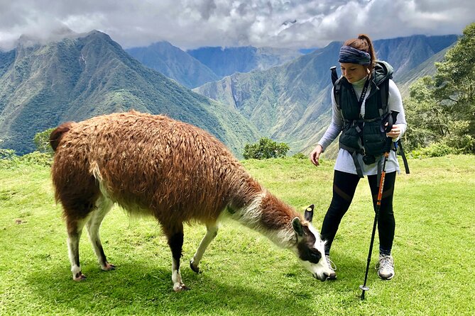 Short Inca Trail To Machu Picchu 2 Days and 1 Night - Traveler Photos