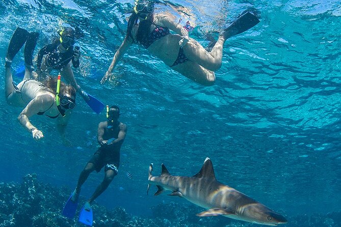 Short & Shark Package -3 Days 2 Night - Cancellation Policy