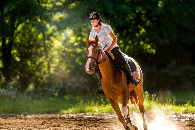 Side Horse Riding On Beach And Through The Forests For 2 Hours - Tips for a Memorable Side Horse Riding Experience