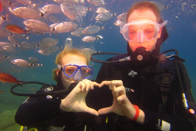 Side: Scuba Diving Experience - Accessibility Information