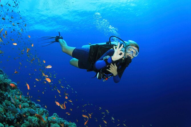 Side Scuba Diving With Under Water Museum: 2 Dives With Lunch And Free Transfer - Free Transfer to and From the Dive Site