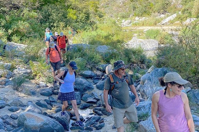 Sierra De La Laguna Hiking and Natural Springs Swim With Waterfalls - Relaxing in Natural Springs and Waterfalls