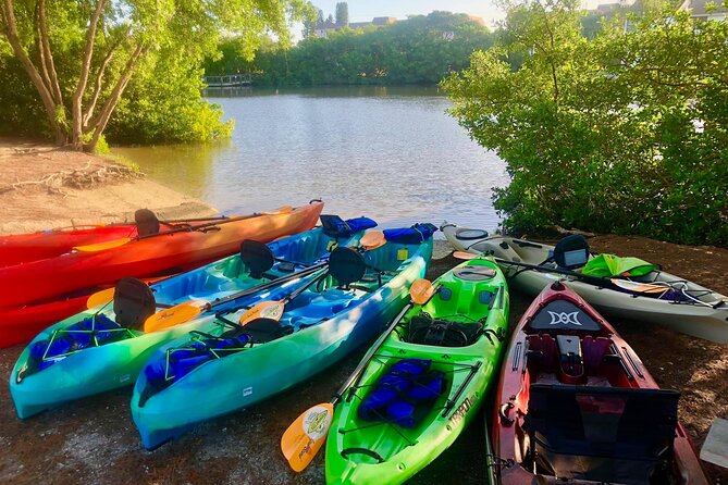 Siesta Key Guided Eco Tour - Reviews and Feedback