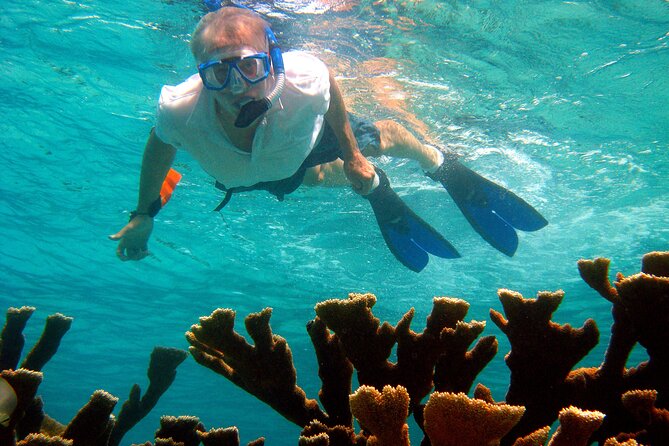 Sightseeing and Snorkeling Tour in Bonaire  - Kralendijk - Customer Reviews