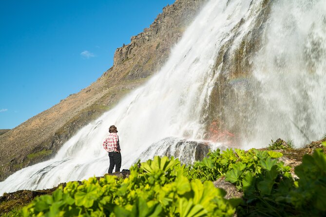 Sightseeing and Wakeboarding, Waterskiing Experience in Dynjandi - Expectations and Physical Requirements