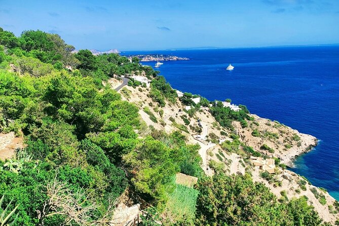 Sightseeing Day Trip Along the South West Coast of Ibiza - Tips for a Smooth Trip