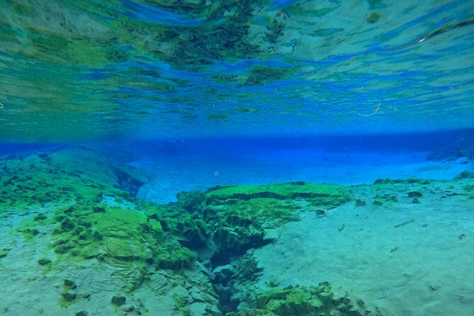 Silfra Snorkeling- Transfer From Reykjavík Included - Reviews of Silfra Snorkeling Experience