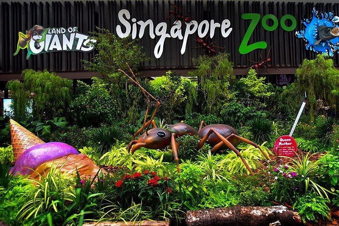 Singapore Bird Paradise & Zoo Full Day (Ticket & Transfer ) - Cancellation Policy