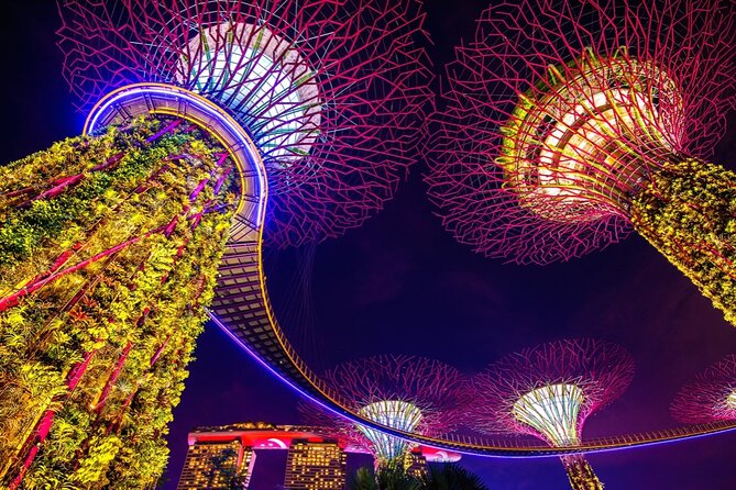 Singapore Gardens by the Bay Admission Skip-The-Line E-Ticket - Meeting and Pickup