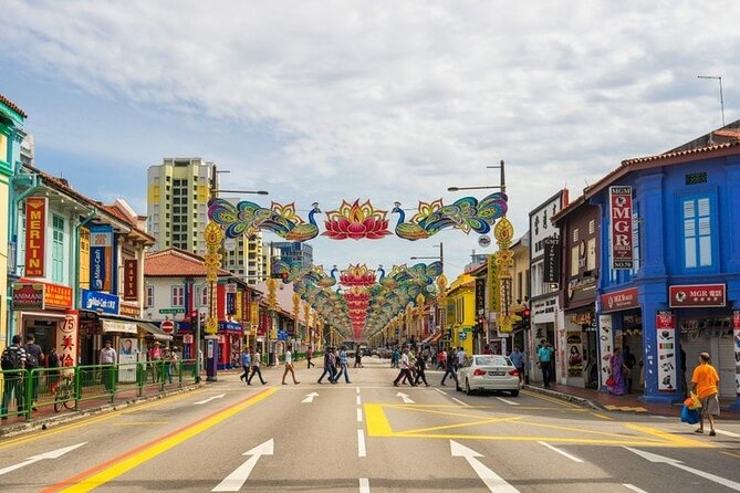Singapore Little India Hidden Gems Walking Tour (Private & All-Inclusive) - Cultural Immersion Activities