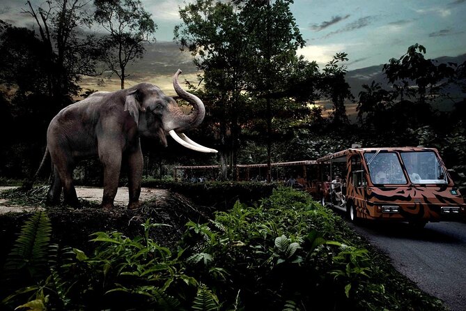 Singapore River Wonders & Night Safari ( Tickets & Transfer ) - Convenient Transfer Options for Visitors