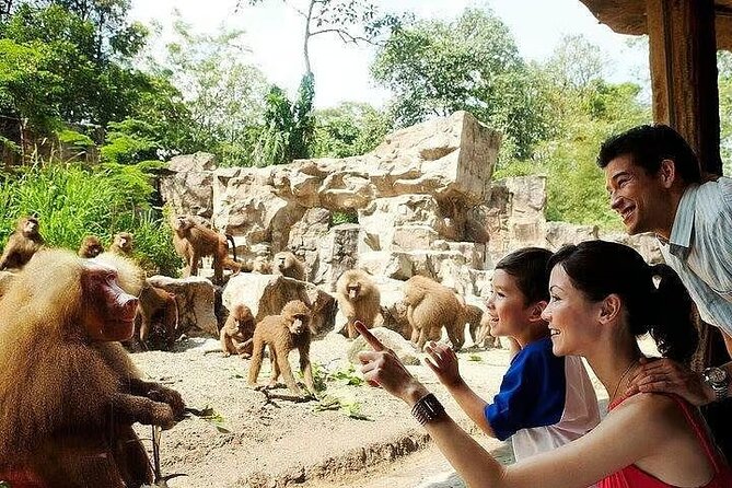Singapore Zoo With Tram Ride Experience - Highlights and Attractions