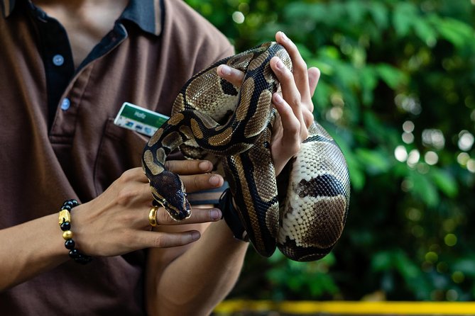 Singapore Zoo With Transfer, Breakfast With Orangutans Option - Cancellation Policy and Refunds