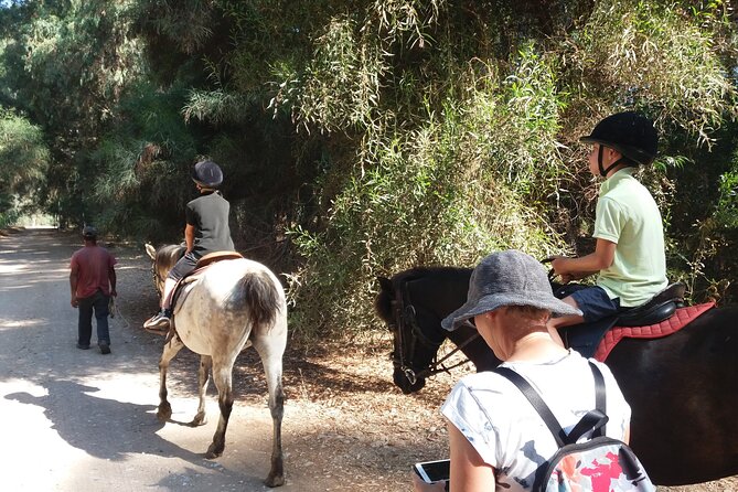 Skafidia Greece Horseback Riding on Beach and Forest - Guided Tour to Kourouta and Marathia Beaches and Marathia Forest