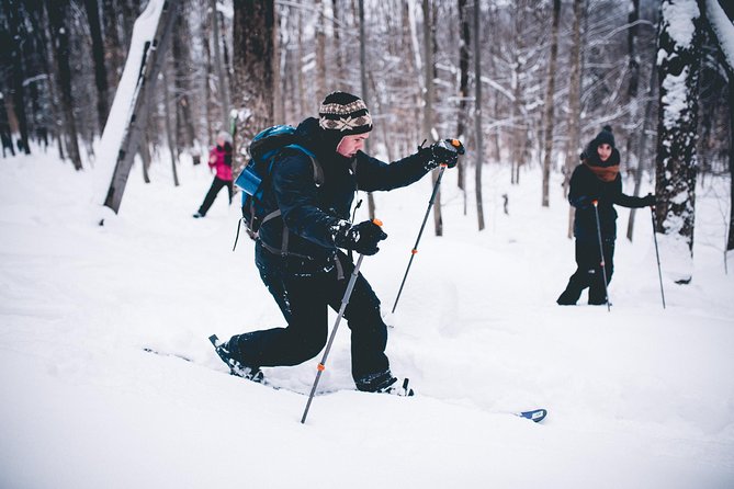 Skiing (Hok Ski) Excursion in Jacques-Cartier National Park - Wildlife Spotting Opportunities