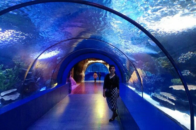 Skip the Line: Antalya Aquarium Ticket - Authenticity of Reviews
