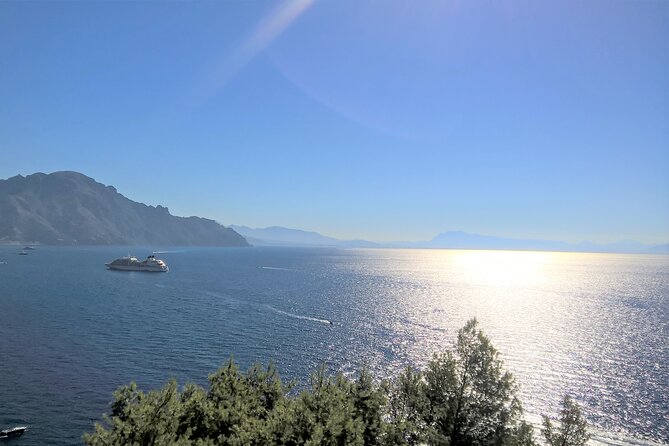 Skip-The-Line Pompeii and Amalfi Coast Shore Excursion From Salerno Cruise Port - Customer Testimonials