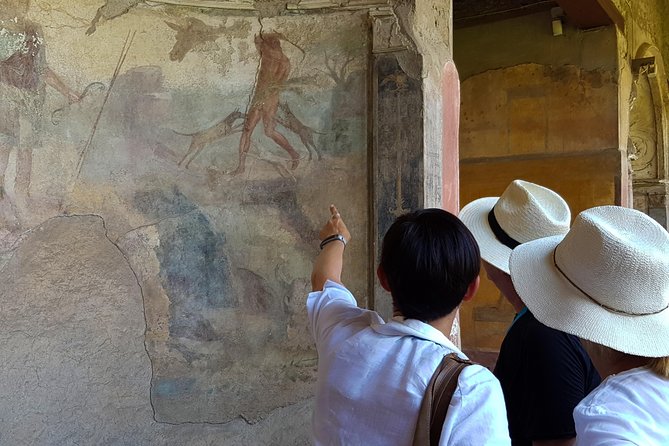 Skip the Line Pompeii & Mount Vesuvius Guided Tour From Positano - Traveler Tips and Photos