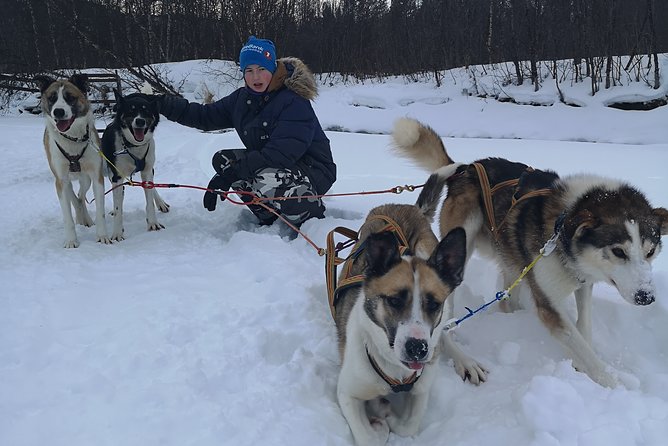 Sled Trip With Husky in the Alta Valley - Inclusions and Necessary Clothing