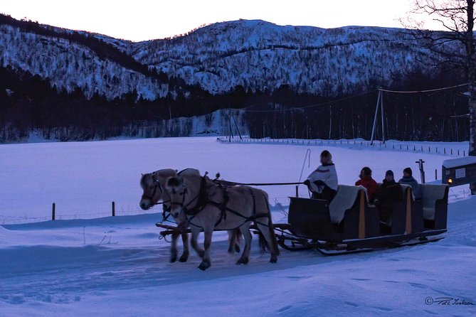 Sleigh Ride W/ Snacks - Experience Arctic Farm Life - Arctic Farm Life Experience