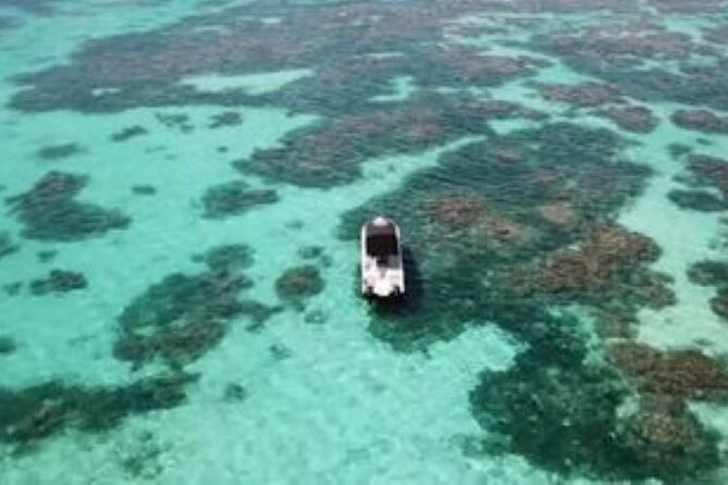 Small Day Cruise (Ilet Caret, Mangrove, Coral Reef - Discovering the Vibrant Coral Reef