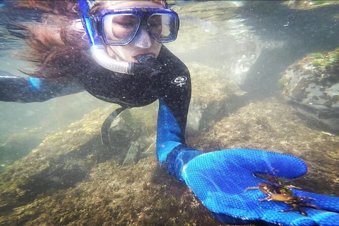 Small-Group 3-Hour Snorkeling Tour of Sitka Sound - Additional Information