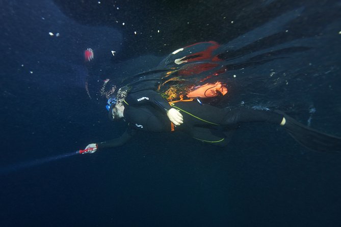 Small-Group 90-Minute Night Snorkeling Safari, Moorea - Common Questions