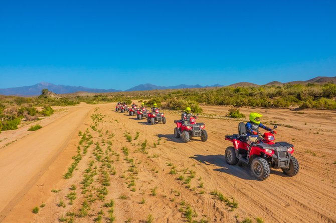 Small-Group ATV Desert Adventure in Cabo San Lucas - Inclusions and Important Information