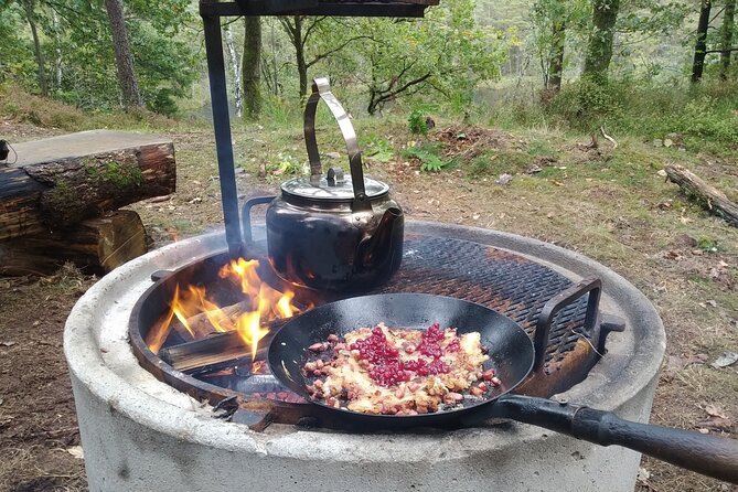 Small Group Camping in a Windshield/Shelter in the Countryside Near Halmstad - Location and Accessibility