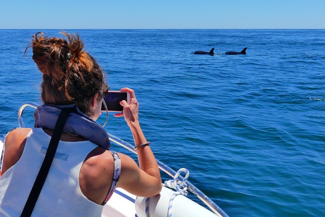 Small Group Dolphin and Wildlife Watching Tour in Faro - Additional Information and Cancellation Policy