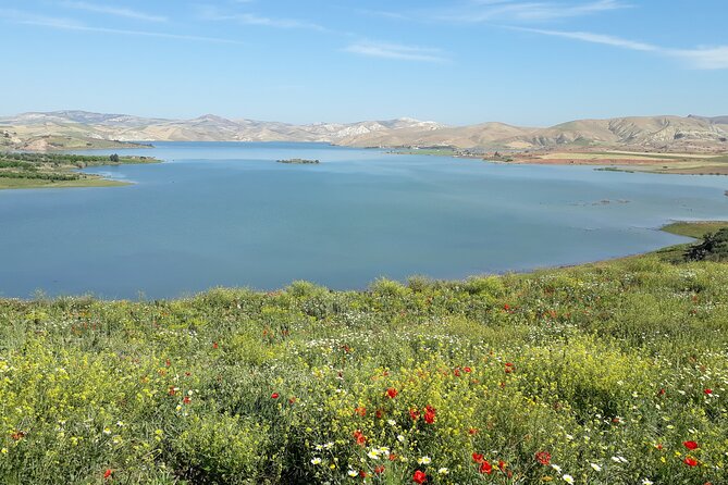 Small-Group Full-Day Meknes, Volubilis and Moulay Idriss Zerhoun Tour From Fez - Tour Guide and Local Guides